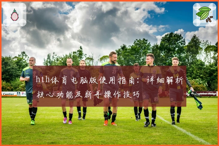 hth体育电脑版使用指南：详细解析核心功能及新手操作技巧