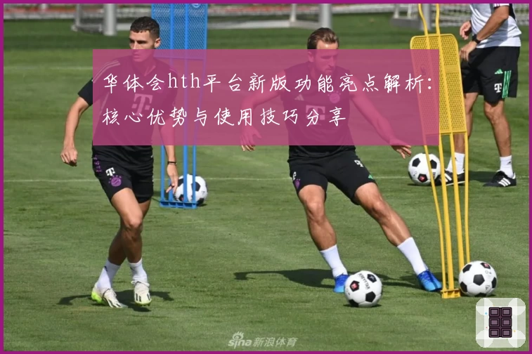 华体会hth平台新版功能亮点解析：核心优势与使用技巧分享